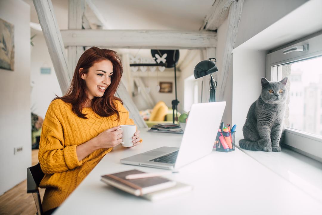 Online Banking Safety: What You Need to Know | Trend Micro News - Online Banking Security For High-Risk Users