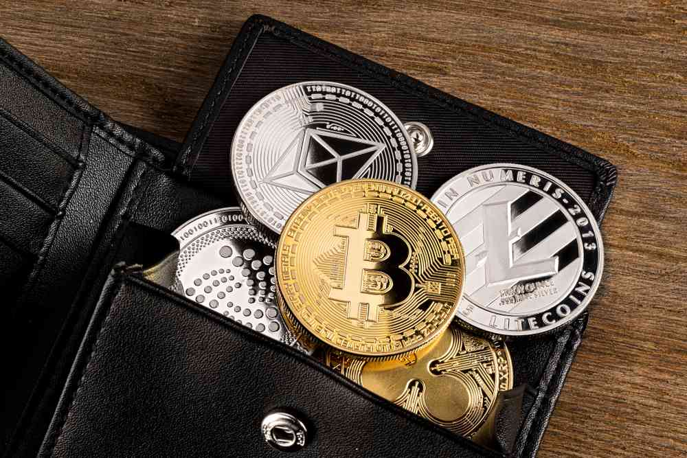 fake crypto wallets