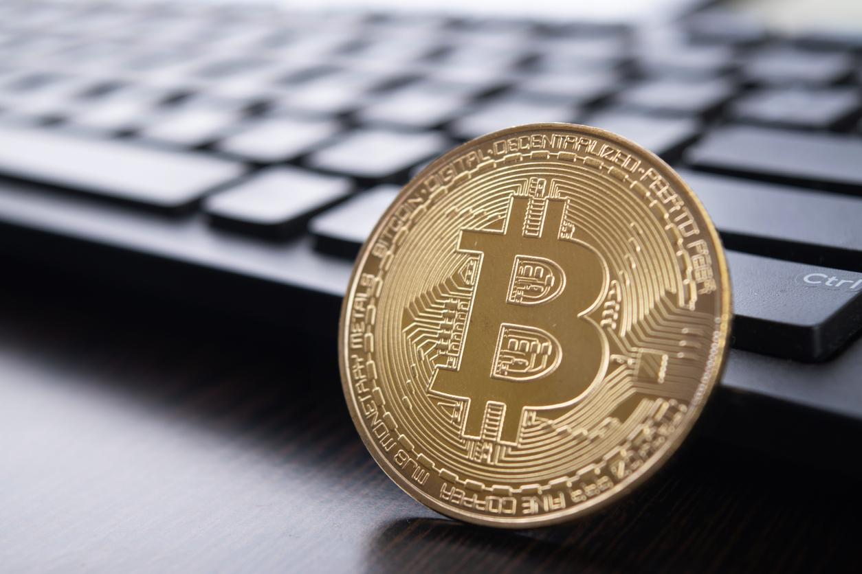 Crypto Scams: Wixlars, Payspex,