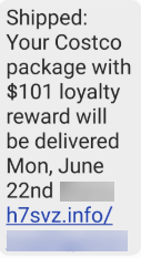 Costco rewards