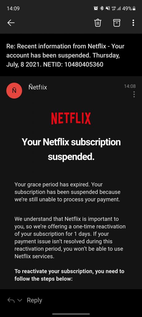 Spot the Scam_Netflix email_0714