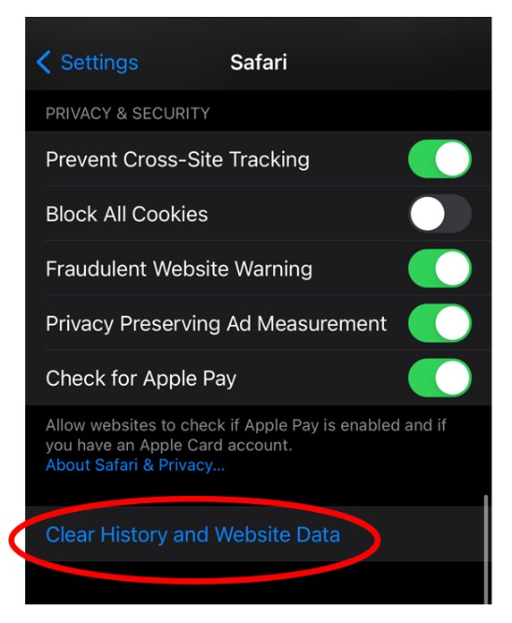 clear history safari iphone 11