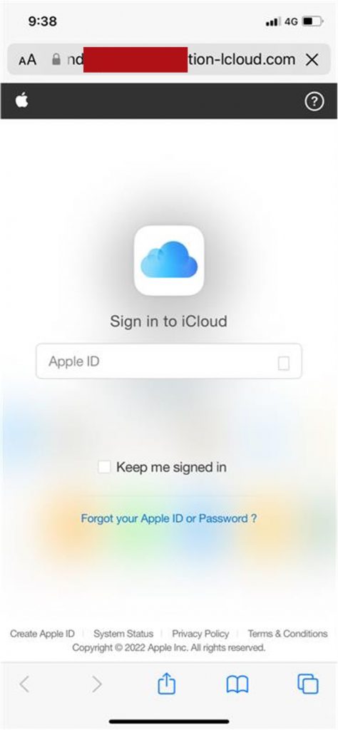 Spot the Scam_iCloud_Fake Login Page_20220729