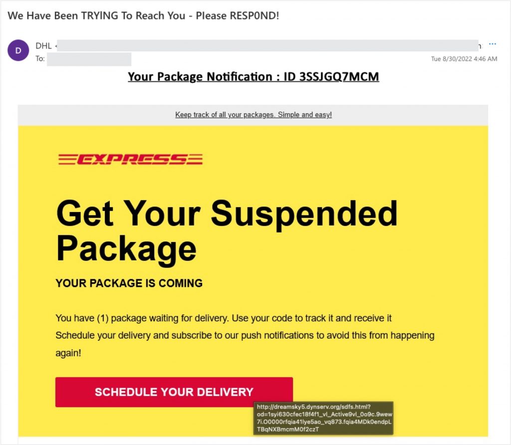 Spot the Scam_DHL Phishing email_1_20220902