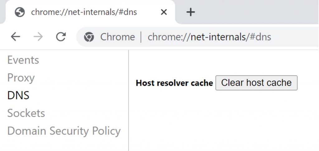 chrome://net-internals/#dns