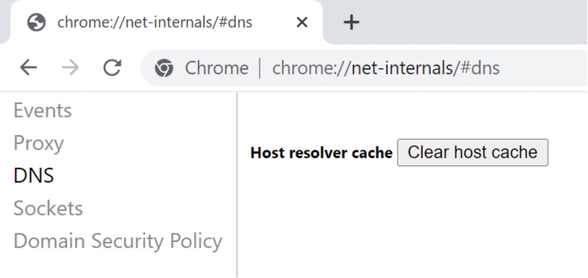 Google chrome dns. Chrome://net-Internals/#DNS. DNS У гугл хрома. Браузер хром Мак 2021. Где находится кнопка Clear host cache.