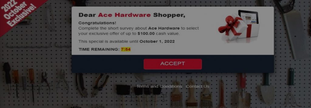 Spot the Scam_Ace Hardware_Suvery Phishing Page_20221021