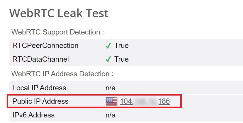 Check for a WebRTC leak