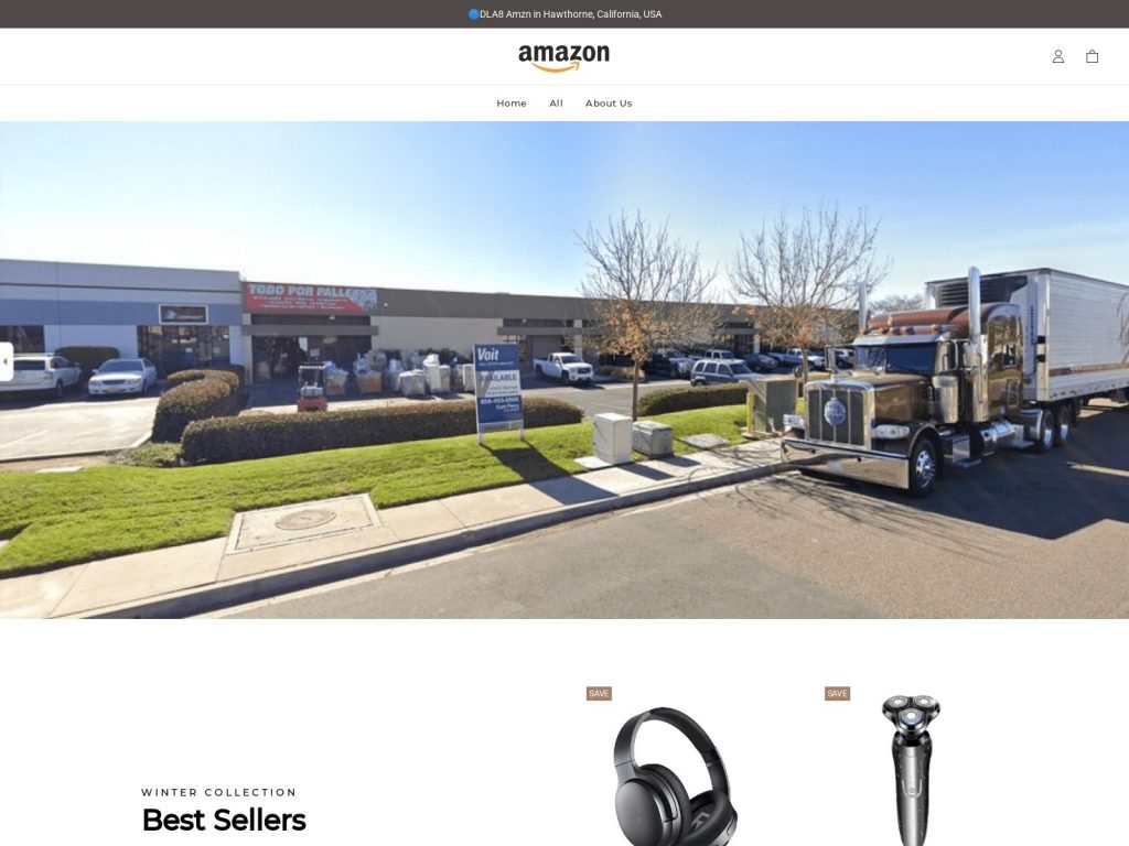 Fake Amazon Website