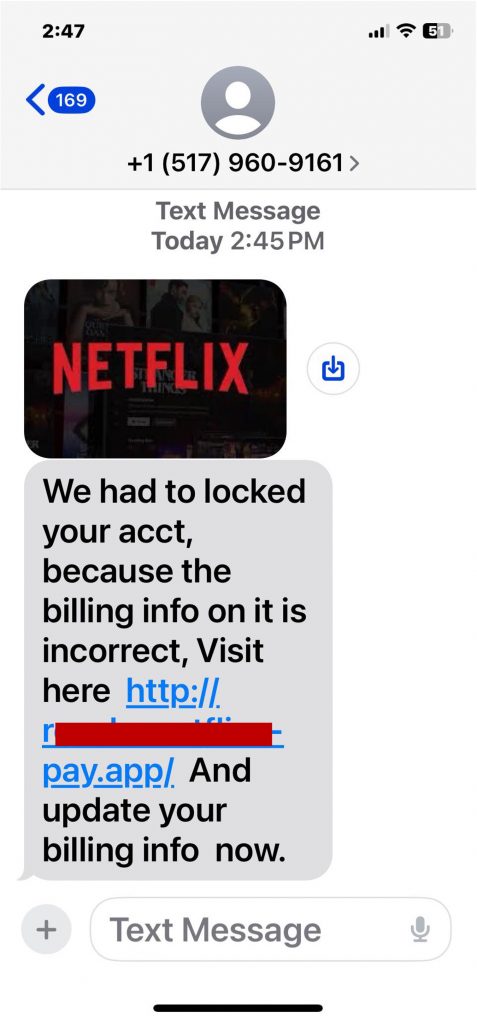 netflix payment scam text_20241122